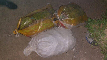 Фотография к новости: Ақтөбе облысында тұрғынның бақшасынан 360 келі картоп ұрланды