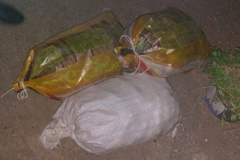 Фотография к новости: Ақтөбе облысында тұрғынның бақшасынан 360 келі картоп ұрланды