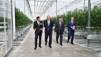 Фотография к новости: Президент жылына 3650 тонна қызанақ өсірілетін жылыжайға барды