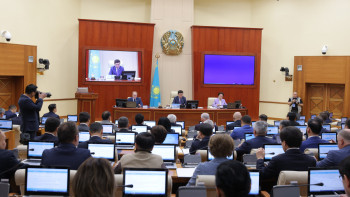 Фотография к новости: Мәжіліс балалардың құқықтарын қорғайтын құжатты әзірлейді