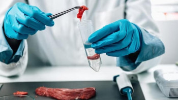 Фотография к новости: Ақмолада ойықжара жұқтыру ошағын жою жұмыстары жүргізіліп жатыр