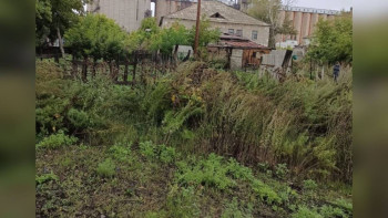 Фотография к новости: Қарағанды облысында тіркеуде жоқ тапанша мен қарасора алқабы анықталды