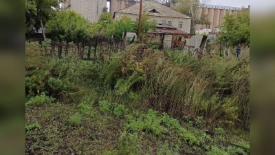 Қарағанды облысында тіркеуде жоқ тапанша мен қарасора алқабы анықталды