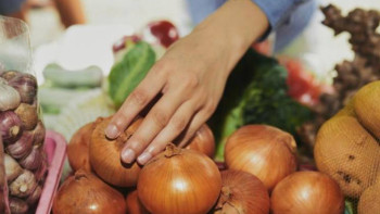 Фотография к новости: Ауыл шаруашылығы жәрмеңкесі. Осы аптада елордаға қай аймақ келеді?