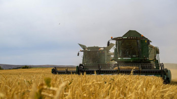 Фотография к новости: Жетісу облысында агроөнеркәсіп кешенін қолдауға 30 млрд теңге бөлінді
