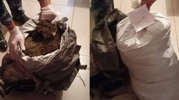 Фотография к новости: Түркістан облысының тұрғынынан 25 келіден астам есірткі табылды