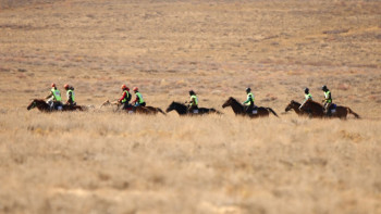 Фотография к новости: «Ұлы дала жорығы» марафон-бәйгесінен Қызылорда мен Ақмола командалары шығып қалды