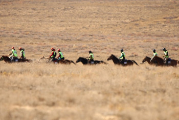 Фотография к новости: «Ұлы дала жорығы» марафон-бәйгесінен Қызылорда мен Ақмола командалары шығып қалды