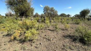 Фотография к новости: Атырауда балыққа кетіп, із-түзсіз жоғалған ер адам іздестірілуде