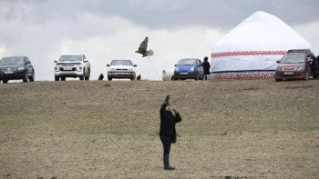 Фотография к новости: Астанада құсбегіліктен халықаралық турнир өтті