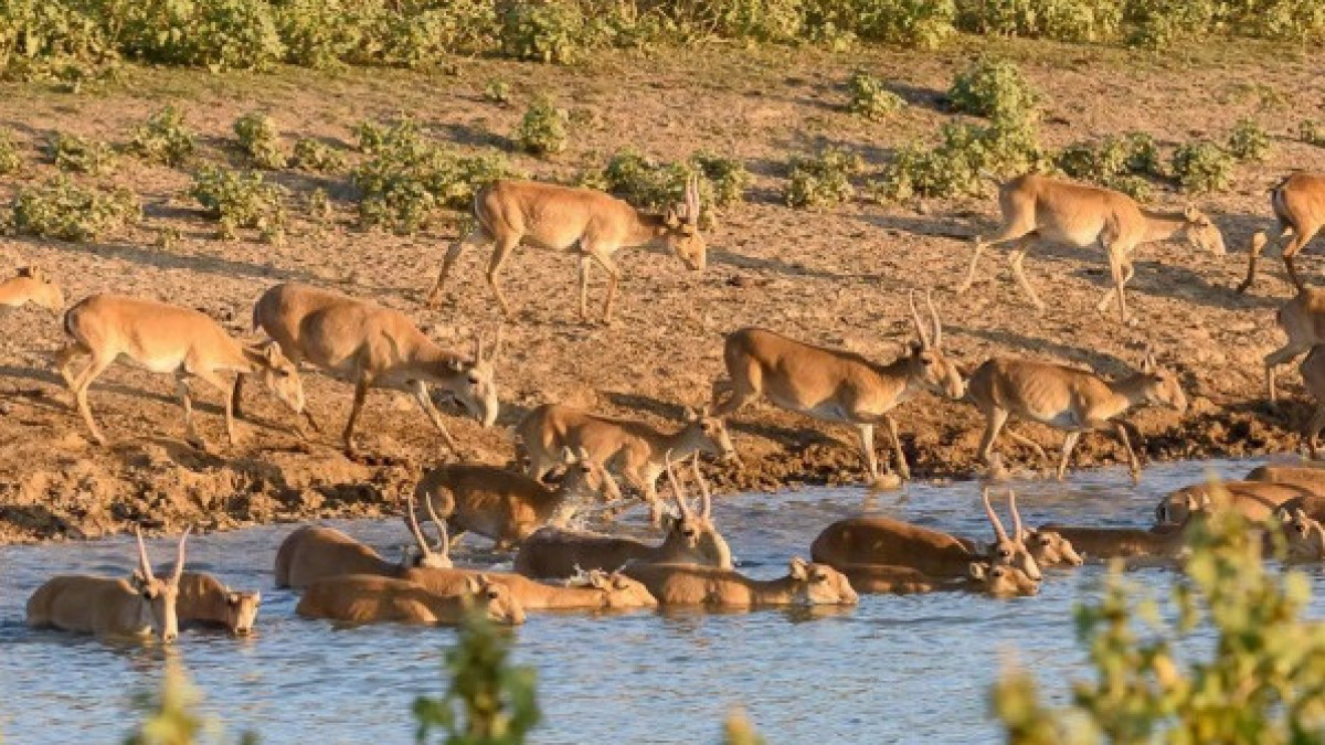  Экология және табиғи ресурстар министрлігі