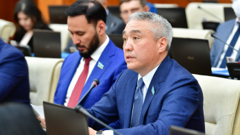 Фотография к новости: Қазақстандық экспорттаушыларды мемлекеттік қолдаудың тиімділігі артады – депутат