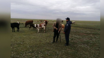 Фотография к новости: Павлодар облысында "Учаске" іс-шарасы өтіп жатыр