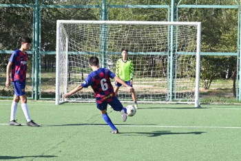 Фотография к новости: Шымкентте жасөспірімдер арасында спорттық жарыс басталды