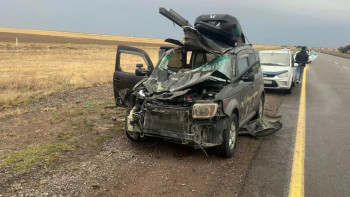 Фотография к новости: Жетісу облысында жолға шауып шыққан жылқы көлікпен соқтығысты