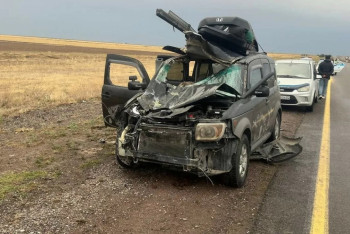 Фотография к новости: Жетісу облысында жолға шауып шыққан жылқы көлікпен соқтығысты