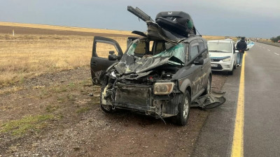 Жетісу облысында жолға шауып шыққан жылқы көлікпен соқтығысты