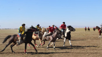 Фотография к новости: Таразда көкпардан ашық біріншілік өтті