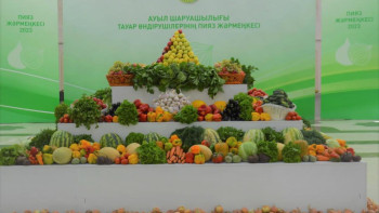 Фотография к новости: Жамбыл облысында пияз жәрмеңкесі өтті