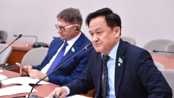 Фотография к новости: Депутат Қазақстанды Африка елдерімен салыстырды