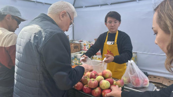 Фотография к новости: Алматыда қала күні қарсаңында 127 тонна алма ұсынылды