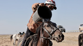 Фотография к новости: «Ұлы дала жорығы». Жетісу командасы алғаш рет жеңімпаз атанды