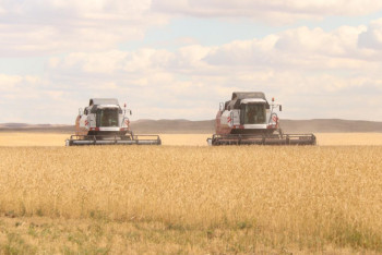 Фотография к новости: Егін науқаны. Қарағанды әкімі әр "құрғақ" күнді тиімді пайдалануды тапсырды