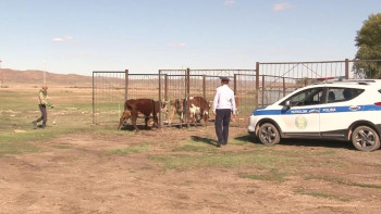 Фотография к новости: Қарағанды облысында 17 мобильді бекет қойылды