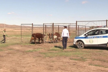 Фотография к новости: Қарағанды облысында 17 мобильді бекет қойылды