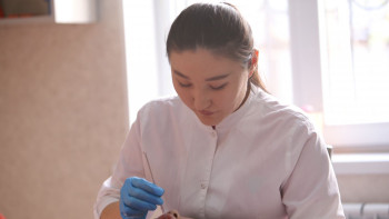 Фотография к новости: Шымкентте «Жастар практикасы» аясында 2 мыңнан астам азамат жұмыспен қамтылды