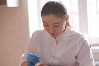 Фотография к новости: Шымкентте «Жастар практикасы» аясында 2 мыңнан астам азамат жұмыспен қамтылды