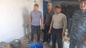 Фотография к новости: ШҚО-да балық ресурстарын заңсыз өндірген екі ер адам ұсталды