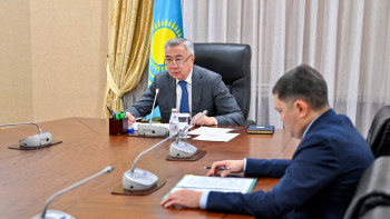 Фотография к новости: 2024 жылы шегіртке шоғыры көп таралуы мүмкін өңірлер аталды