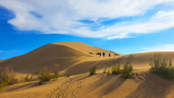 Фотография к новости: Екі отандық қорық ЮНЕСКО-ның дүниежүзілік мұра тізіміне енді