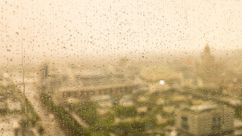 Фотография к новости: Жұмада бірнеше өңірде сулы қар жауады