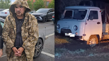 Фотография к новости: Ел аумағында бір айдың ішінде мал ұрлаумен айналысқан 10 топ ұсталды