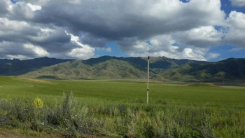 Фотография к новости: Абай облысында 130,5 мың га жер мемлекет меншігіне қайтарылды