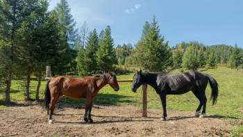 Фотография к новости: Елімізде ұлттық ауыл шаруашылығы санағы өтеді