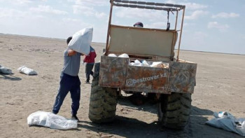 Фотография к новости: Атырауда балықтардың неден жаппай қырылғаны анықталды