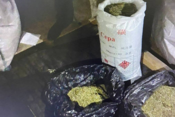 Фотография к новости: Ақтөбеде көпбалалы әке үйінің шатырында есірткінің үлкен партиясын сақтаған