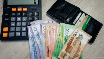 Фотография к новости: Жетісуда субсидия беруде қателіктер көп