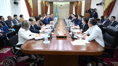 Сенат жанынан Инклюзия жөніндегі кеңес құрылады