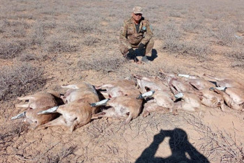 Фотография к новости: Созақта киік атумен айналысқан екі браконьер ұсталды