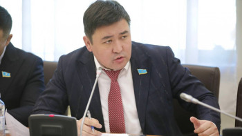 Фотография к новости: Қымбатшылық, там-тұм айлық, тұрмыстық тауқымет: Депутат Үкіметті қатаң сынады