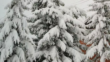 Фотография к новости: Марқакөл қорығында қалыңдығы 30 сантиметрден астам қар жауды