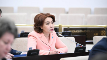 Фотография к новости: "Кенже қалып отыр". Бибігүл Жексенбай медициналық мекемелерді қаржыландыру жайында