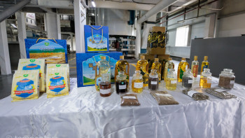 Фотография к новости: 250 мың теңге жалақы, тұрақты жұмыс: Ауыл тұрғындары ірі зауытта қандай астық өндіреді