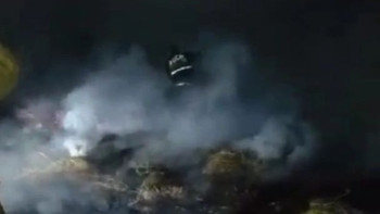 Фотография к новости: ШҚО-да 100 орам шөп өртке оранды