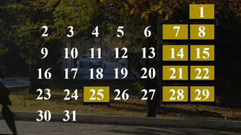 Фотография к новости: Қазақстандықтар қазан айында қанша күн демалатыны анықталды