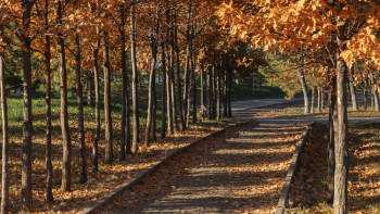 Фотография к новости: 15 өңірде ауа райына байланысты ескерту жарияланды